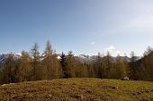 002 Panorama alla malga Epolo